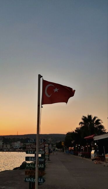 учитель турецкого языка: Онлайн урок турецкого языка