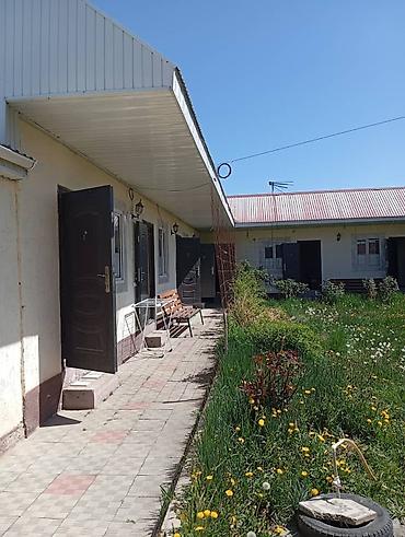 Посуточная аренда квартир: 🏡 Сдаётся дом/коттеджи у берега! Всё для комфортного отдыха: душ — 10