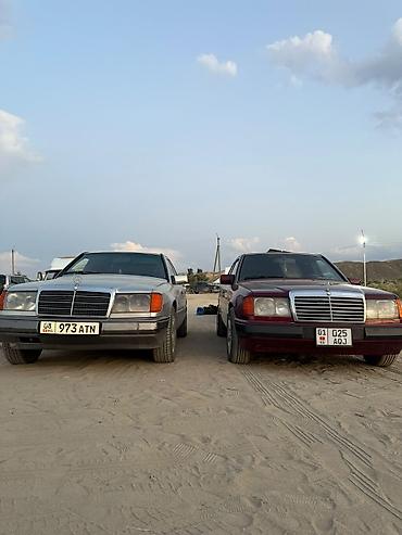 мерс 814 самасвал: Mercedes-Benz W124: 1991 г., Седан — 5
