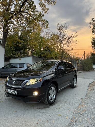 авто моющий апарат: Lexus RX: 2009 г., 3.5 л, Автомат, Внедорожник