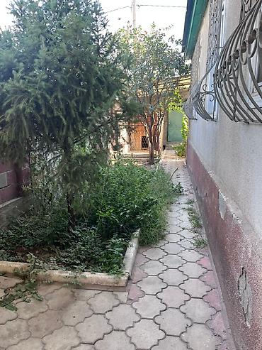 Продажа домов: Дом, 85 м², 4 комнаты, Собственник, Старый ремонт at lalafo.kg — 10 Продажа домов: Дом, 85 м², 4 комнаты, Собственник, Старый ремонт — 10