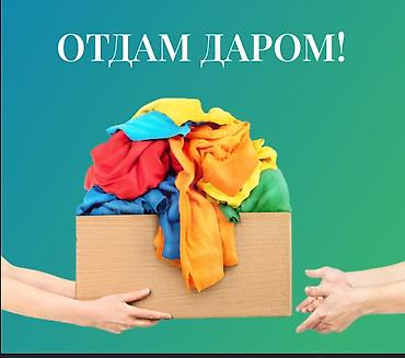 коты бишкек: Срочно сегодня ! отдам даром коробку разноцветной разные одежды — 1