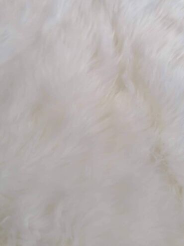 Tepisi i prostirke: Tepih — 10