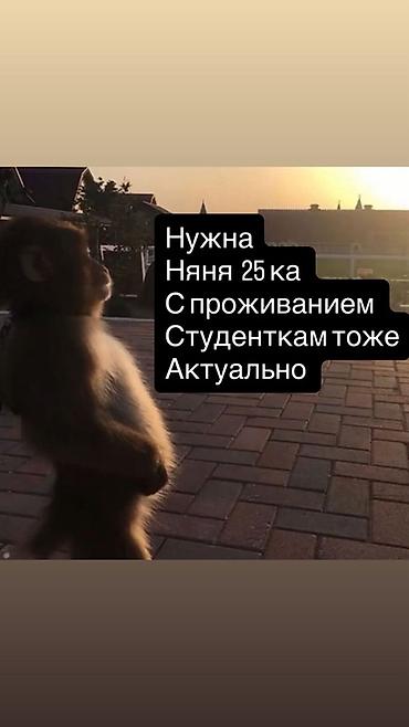 медсестра аламедин 1: Требуется Няня — 1
