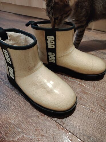 Čizme: Čizme, UGG, 38 — 1