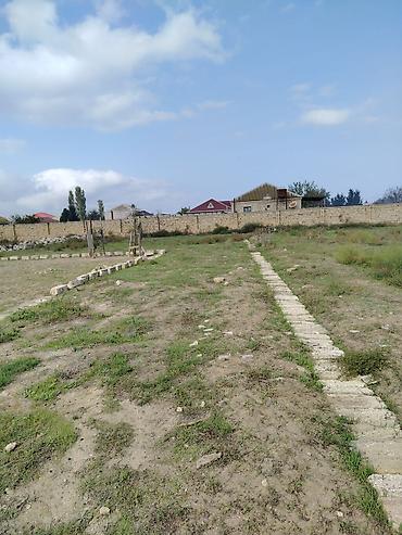 sut satisi: 4 sot, Tikinti, Bələdiyyə — 3
