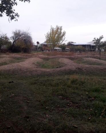 Torpaq sahələrinin satışı: 20 sot, Biznes üçün, Kupça (Çıxarış)