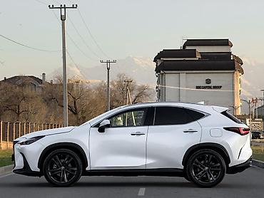 спойлер нехсия: Lexus NX: 2023 г., 2.5 л, Автомат, Кроссовер — 8