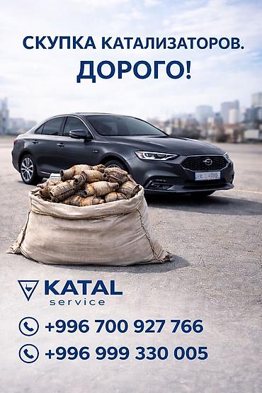 avto: Скупка автомобильных катализаторов — KATAL service. - Принимаем — 3
