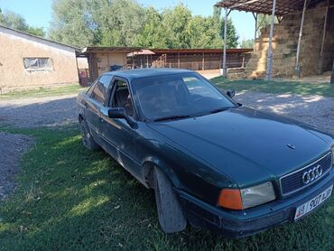 машина с газом: Audi 100: 1991 г., 2 л, Механика, Газ, Седан