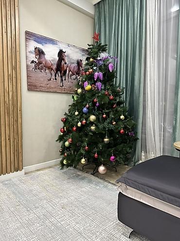 ЛЕТОМ КУПИТЕ БУДКТ ДЕШЕВЛЕ😀😀😀😀 Искусственная новогодняя ель с декором at lalafo.kg ЛЕТОМ КУПИТЕ БУДКТ ДЕШЕВЛЕ😀😀😀😀 Искусственная новогодняя ель с декором