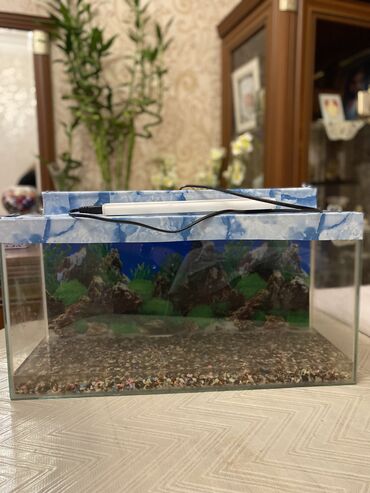 аквариум баку: Dördbucaq akvarium, Boş, 40 l, Pulsuz çatdırılma
