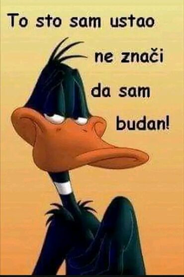 Ostala ženska odeća: Garderoba na biranje 12 EUR kilogram minimalna količina 10 kg ekstra i na lalafo.rs — 18 Ostala ženska odeća: Garderoba na biranje 12 EUR kilogram minimalna količina 10 kg ekstra i — 18