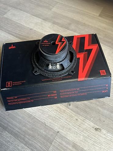 microlab 5 1: Динамики 13 Колонки 13 Широкополосная эстрадная акустика УРАЛ Молния — 4