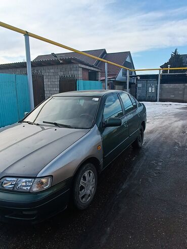 состояние нормальное: Nissan Primera: 1997 г., 1.6 л, Механика, Бензин, Седан