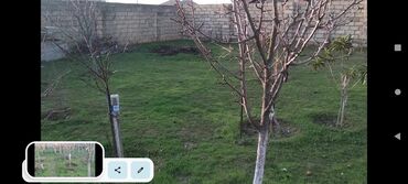 Torpaq sahələrinin satışı: 3 sot, Tikinti, Kupça (Çıxarış) — 3