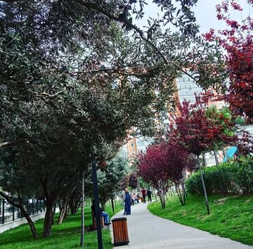 bine kirayə: 2 kv. m, 1 otaqlı, Qaz, İşıq, Su