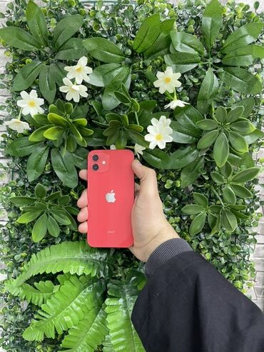 ayfon 2 ci əl: IPhone 12, 128 ГБ, Красный, Гарантия, Беспроводная зарядка, Face ID