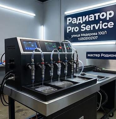 Диагностика и ультразвуковая промывка форсунок на профессиональном
