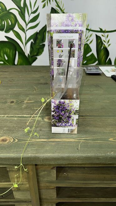 Şəkil və rəsmlər üçün çərçivələr: Çərçivə — 2