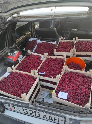 Малина: Малина Бесплатная доставка — 13