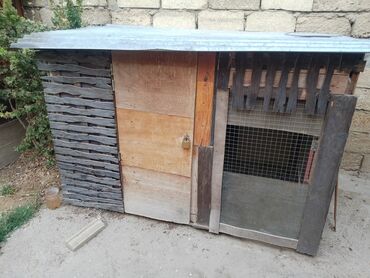 pişik yuvası: Quşxana dekor taxtalardan yığılıb. Eni 1.08 uzunu 1.85