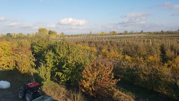 Torpaq sahələrinin satışı: 1000 sot, Kənd təsərrüfatı, Makler, Kupça (Çıxarış) — 4