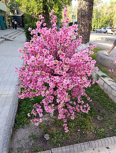 водитель категории д: Медсестра — 1