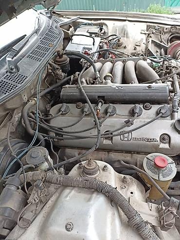 хонда аккорд 97: Honda Accord: 1997 г., 2.5 л, Автомат, Бензин, Седан — 3