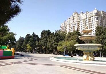 Tikinti ixtisasları: Park atraksionlarında idarə etmə