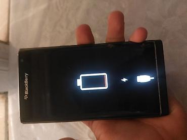 Ежевика: Ежевика Priv, цвет - Черный — 3