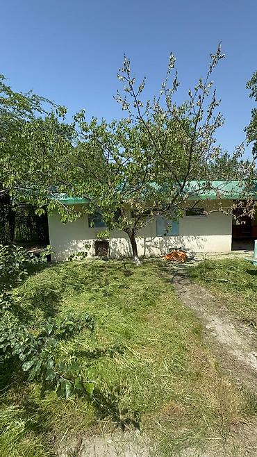 Продажа дач: Продается дача в верхней части города Кашка Суу горнолыжная база не — 11