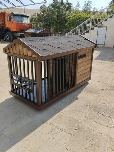 papuqay yuvası: It yuvasi it ucun valyer
