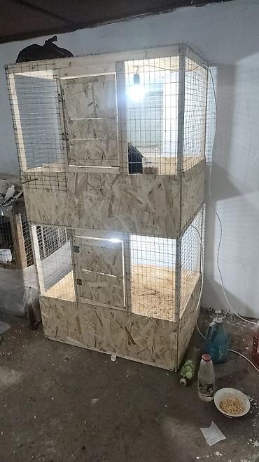 Инкубаторы: Многоярусный брудерный стеллаж для выращивания птицы Цена зависит от — 8