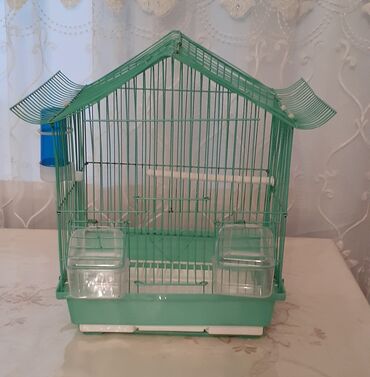 Qəfəslər: Yaşil rəngdə quş qəfəsi 12 azn.Aksisuvarlarıları ilə birlikdə lalafo.az -da Qəfəslər: Yaşil rəngdə quş qəfəsi 12 azn.Aksisuvarlarıları ilə birlikdə