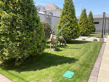 Газон: Сеем газон ( АвтоПолив Газона) под 🔑 Система АвтоПолива💧 Планировка — 26