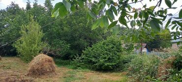 Torpaq sahələrinin satışı: 12 sot, Mülkiyyətçi, Kupça (Çıxarış) — 16