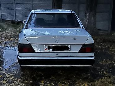 lexus e350: Mercedes-Benz E-Class: 1990 г., 2.6 л, Механика, Бензин, Седан — 3
