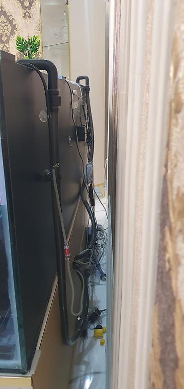akvarium lampa: 450 litr həcmli böyük akvarium satılır. (2000₼ pul qoyulub) premium — 7