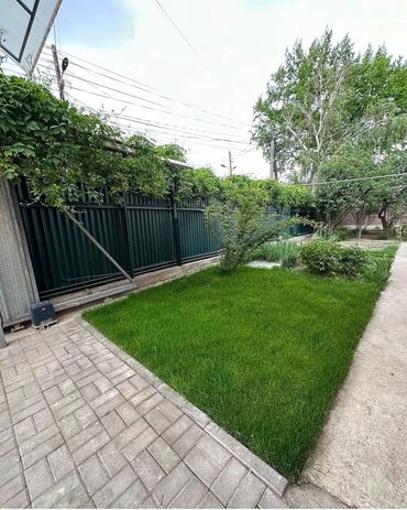 Другие комнатные растения: 🌿 Газон 🌿Посев газона 🌿Сеем газон 🌿 Озеленение территории 🌿Газон