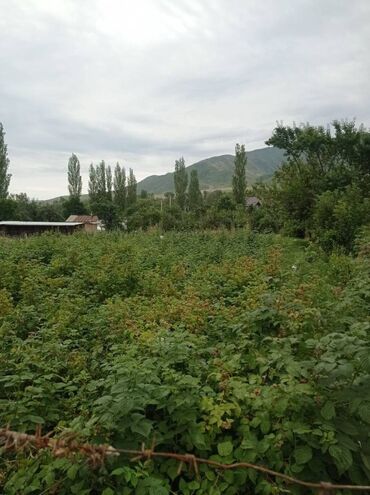 Помещения свободного назначения: 15 соток, Для бизнеса, Красная книга