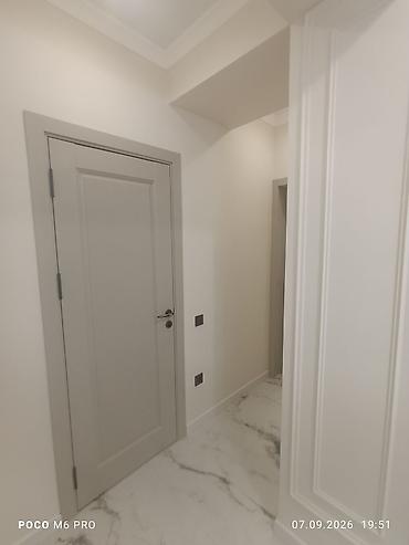 фон для студии: 1 комната, 49 м², Цокольный этаж этаж, Свежий ремонт — 4