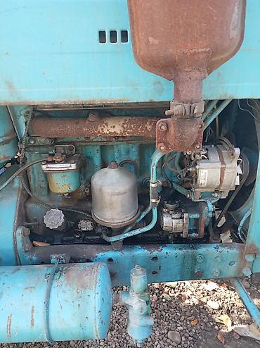 masin radiatoru: Zavod mtz 80, hərşey işlək vəziyyətdədir. Traktor Quba rayonunda — 8