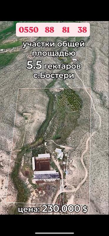 Продажа участков: 500 соток, Для сельского хозяйства, Красная книга at lalafo.kg — 1 Продажа участков: 500 соток, Для сельского хозяйства, Красная книга — 1
