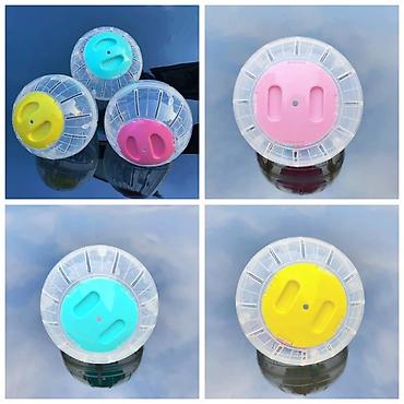 товары для хомяка: ПРОДАЮ ДЖУНГАРСКИХ И СИРИЙСКИХ ХОМЯЧКОВ,А ТАК ЖЕ — 6
