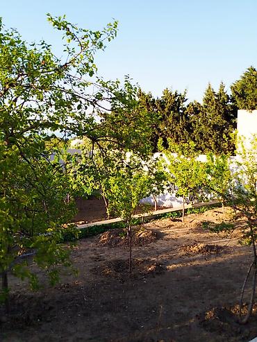 Həyət evləri və villaların satışı: 6 otaqlı, 120 kv. m, Kredit yoxdur, Yeni təmirli — 5