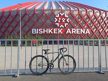 Фикс-байк (fixed gear) АXЕ - Рама: алюминий, дорожная геометрия