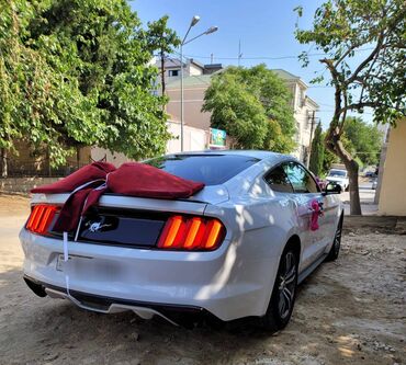 Digər avto xidmətlər: 2018-ci il Mustang. Toy, Nişan və digər tədbirlər üçün sifariş edə — 3