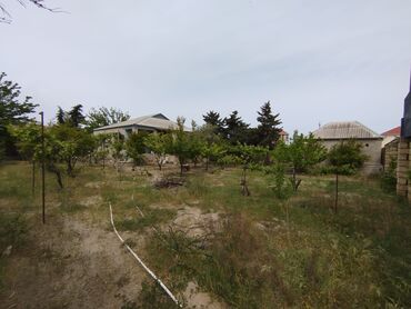 Bağ evlərinin satışı: Digah, 144 kv. m, 4 otaqlı, Hovuzsuz, Kombi, Qaz, İşıq — 10