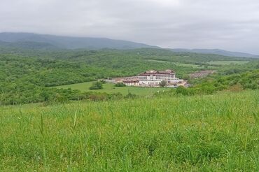 Torpaq sahələrinin satışı: 60 sot, Kənd təsərrüfatı, Makler, Kupça (Çıxarış)